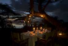 Abendessen unter Afrikanischem Baum mit romantischer Beleuchtung im Serengeti Explorer Camp