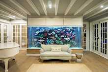 Couch mit Aquarium auf Thanda Island