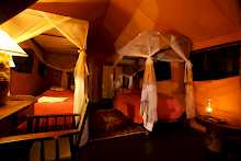 Doppelzimmer mit Twinbetten in Semliki Safari Lodge