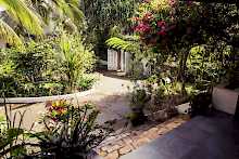 Tropischer Garten des Hotel Ilomba