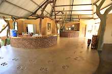 Rezeptionsbereich mit Löwen-Fußspuren im Kavinga Safari Camp
