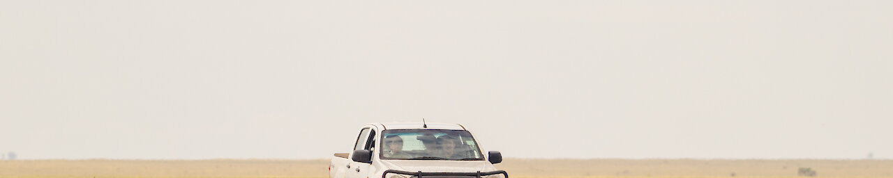 Safarifahrzeug in der Savanne