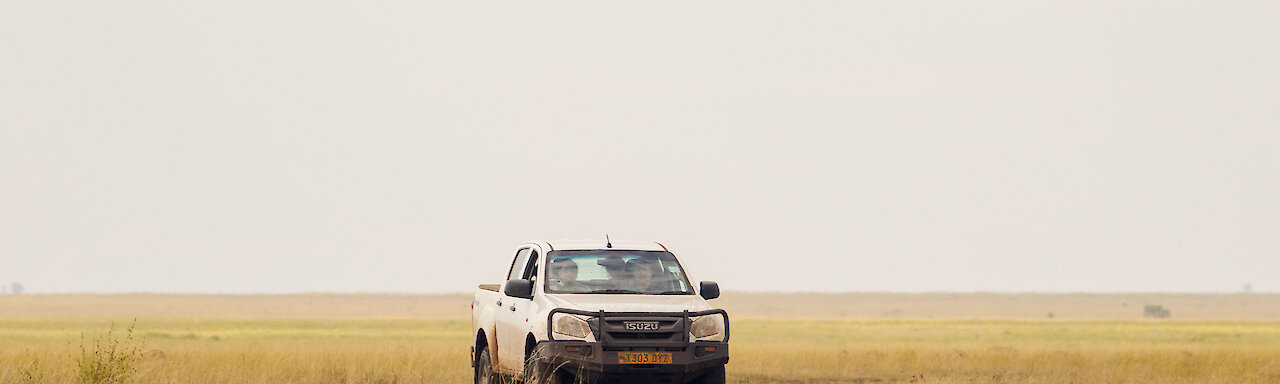 Safarifahrzeug in der Savanne