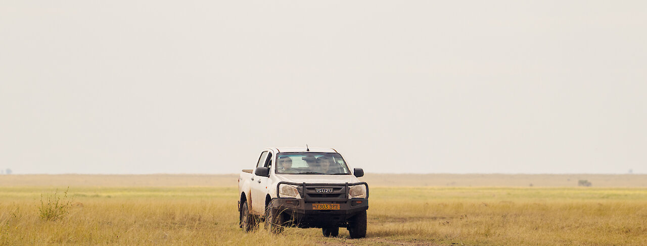 Safarifahrzeug in der Savanne