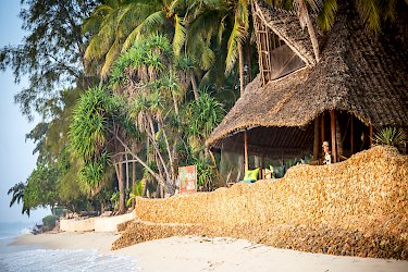 Mbuyu Beach Bungalows