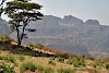 Gelada-Paviane in Gebirgslandschaft